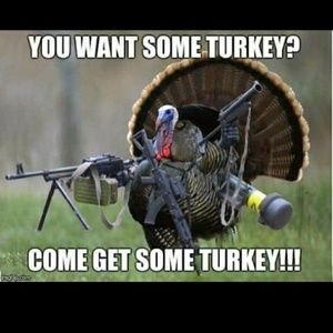 Meet your Posher, Joshua